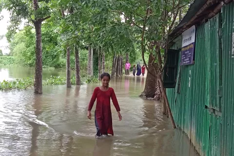 Ema wading through floodwaters 